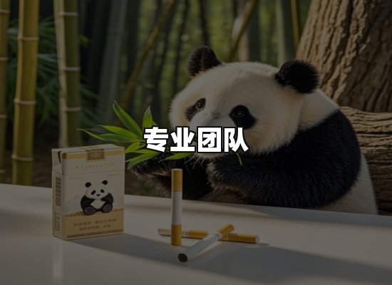 黑金团队